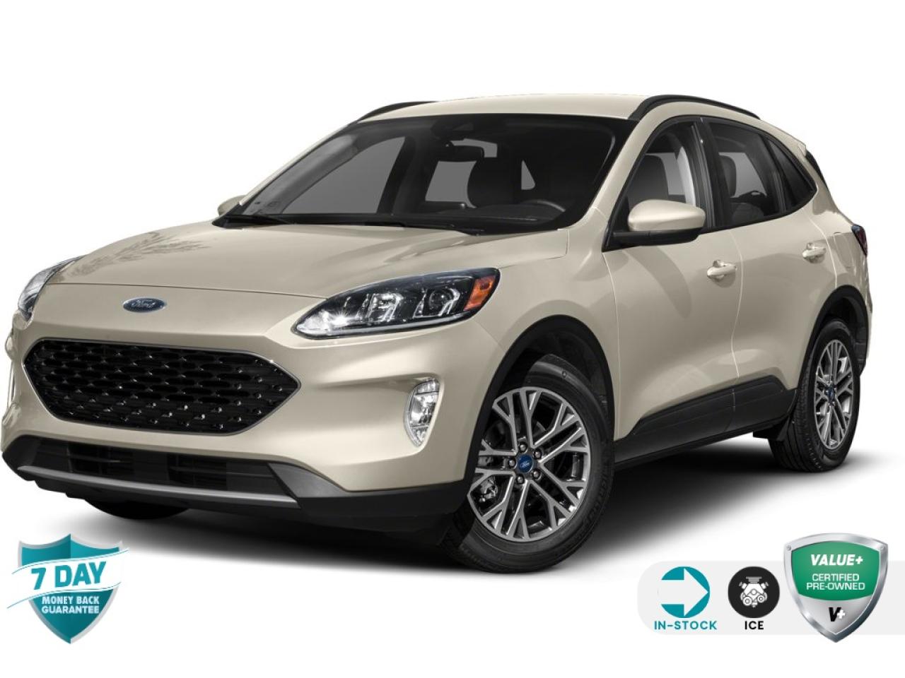 Used 2021 Ford Escape SEL for sale in Hamilton, ON