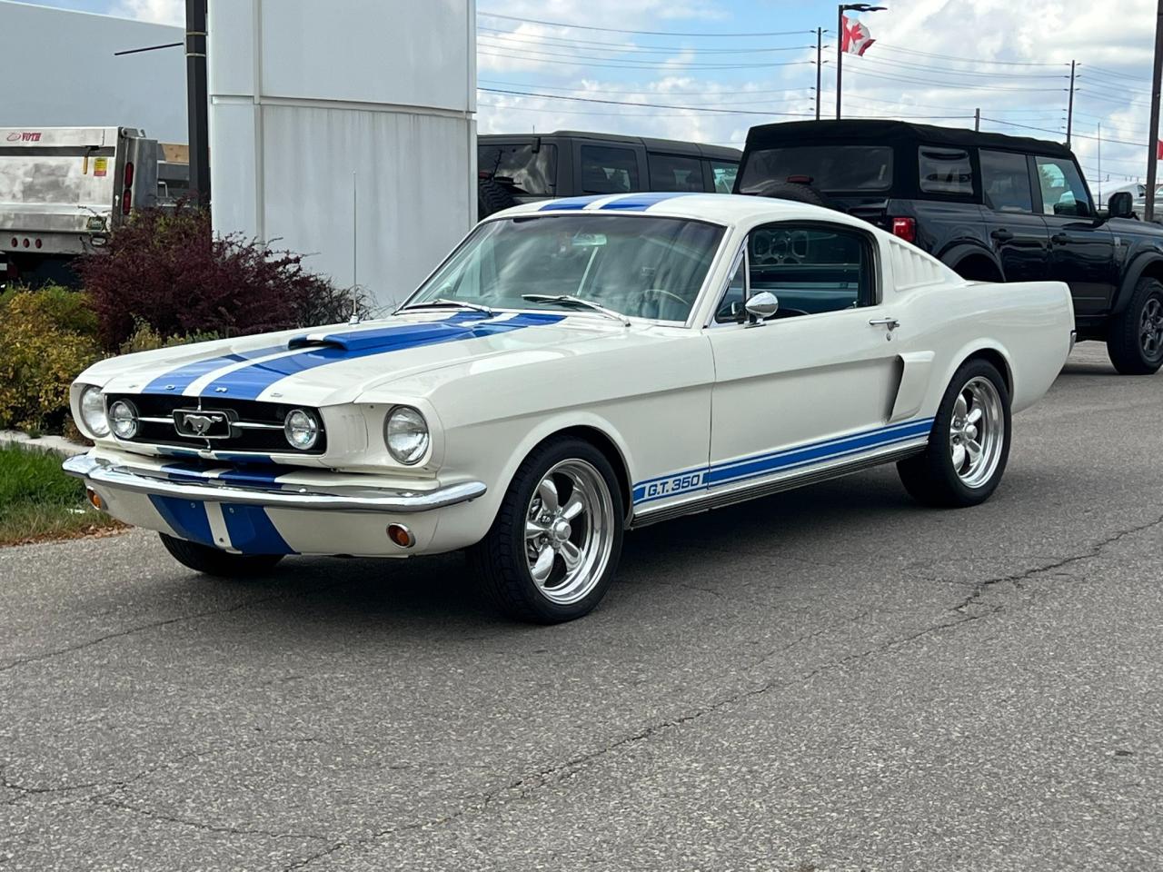 Used 1965 Ford Mustang FASTBACK for sale in Etobicoke, ON
