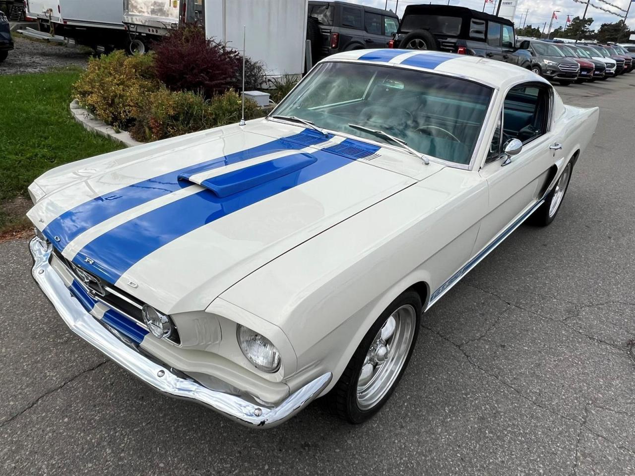 1965 Ford Mustang FASTBACK Photo