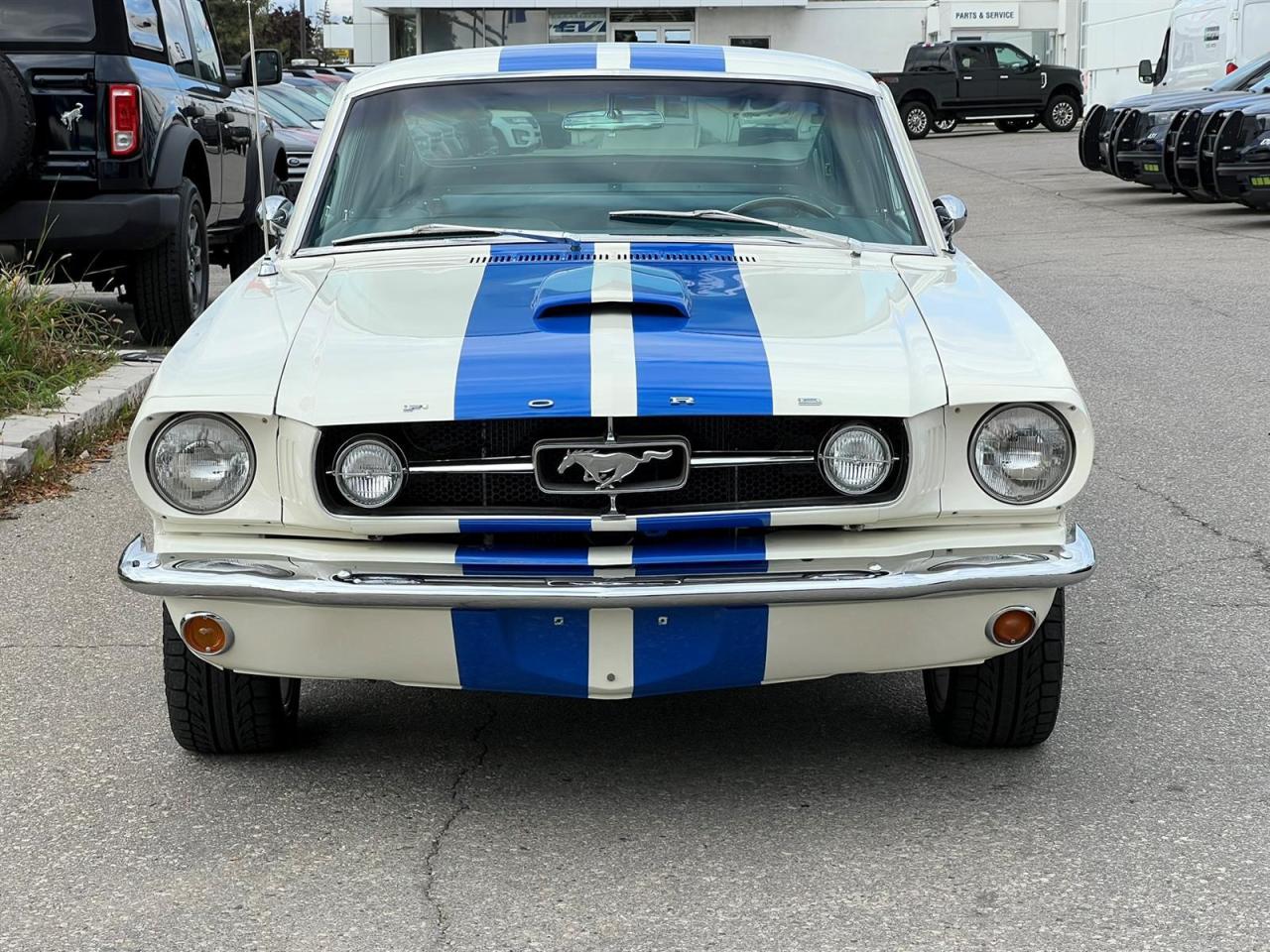 Used 1965 Ford Mustang FASTBACK for sale in Etobicoke, ON