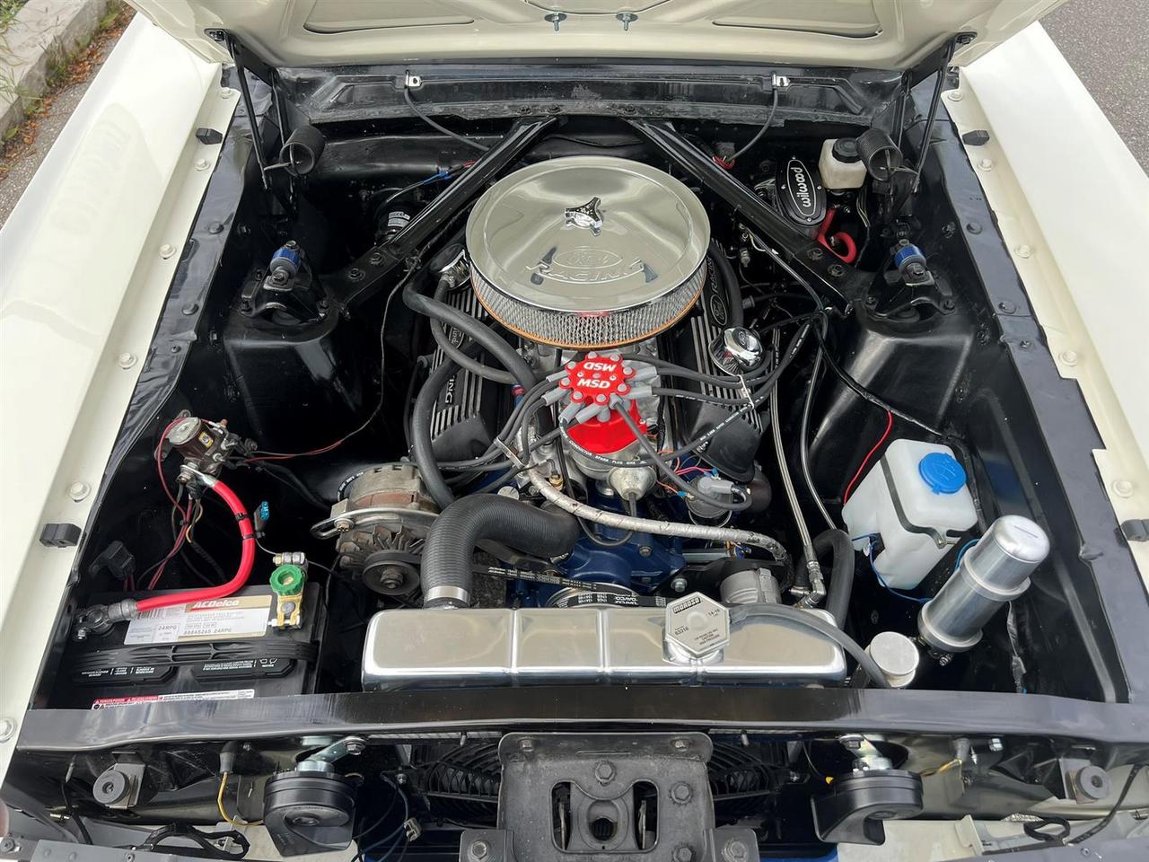 1965 Ford Mustang Fastback Photo