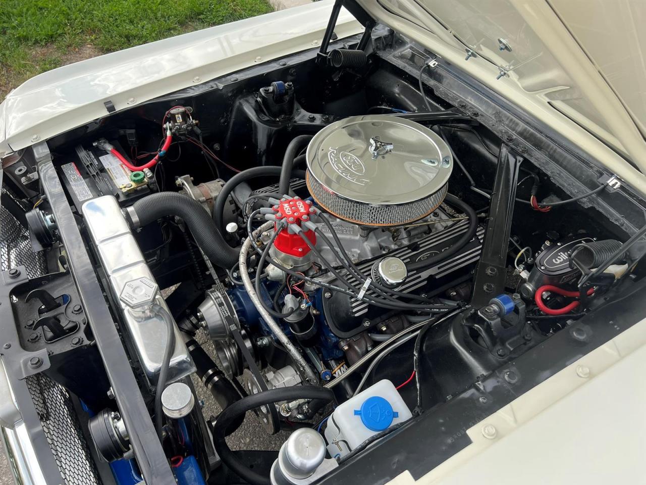 1965 Ford Mustang FASTBACK Photo