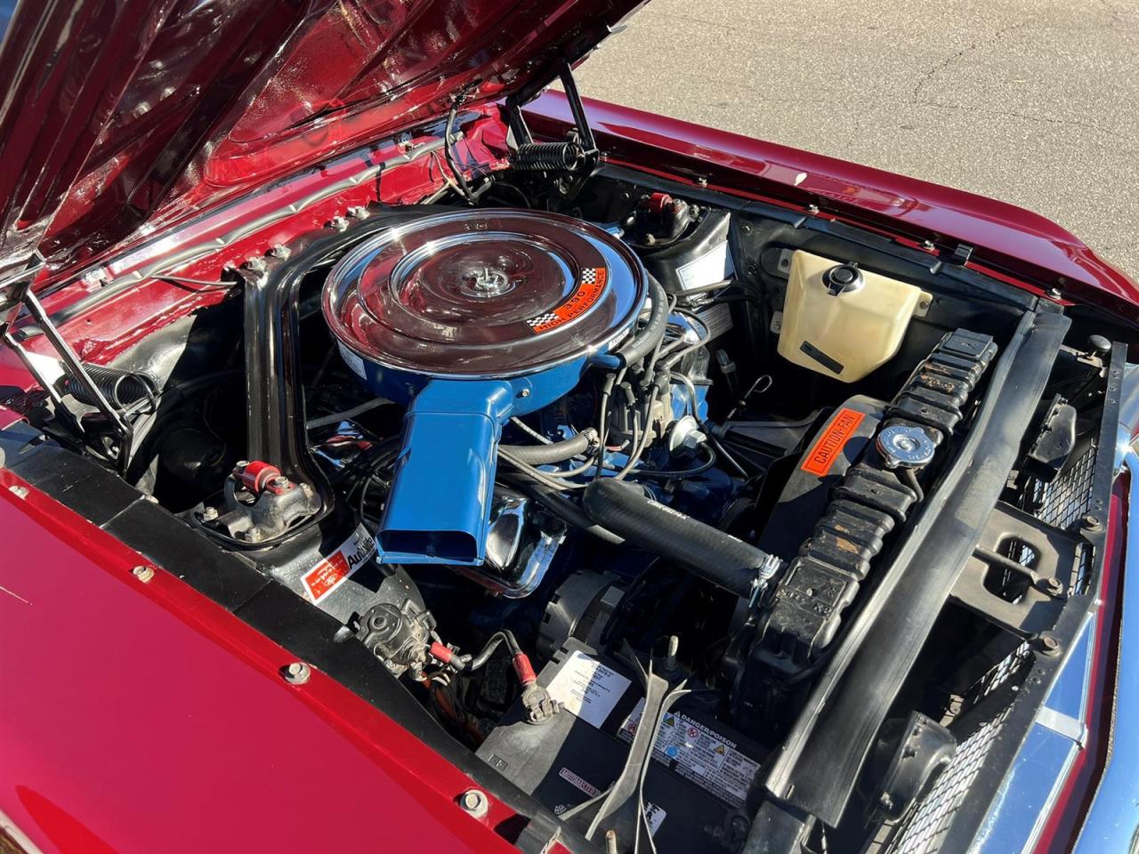 1968 Ford Mustang FASTBACK Photo