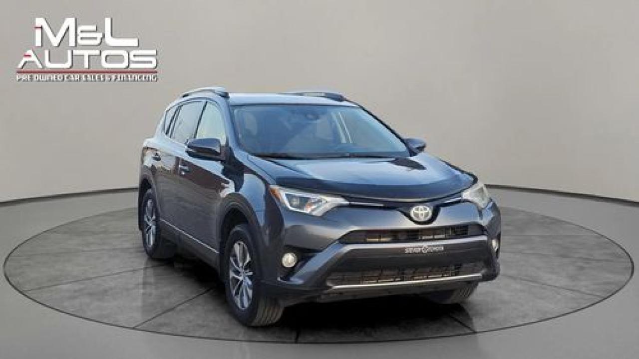 2017 Toyota RAV4 XLE Photo4