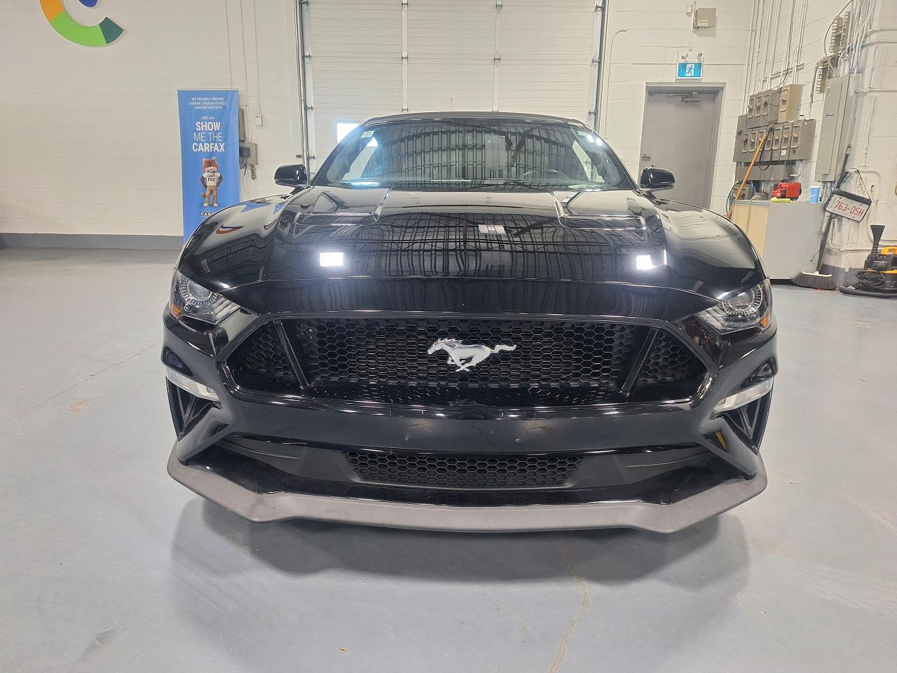 2019 Ford Mustang Convertible - Photo #8