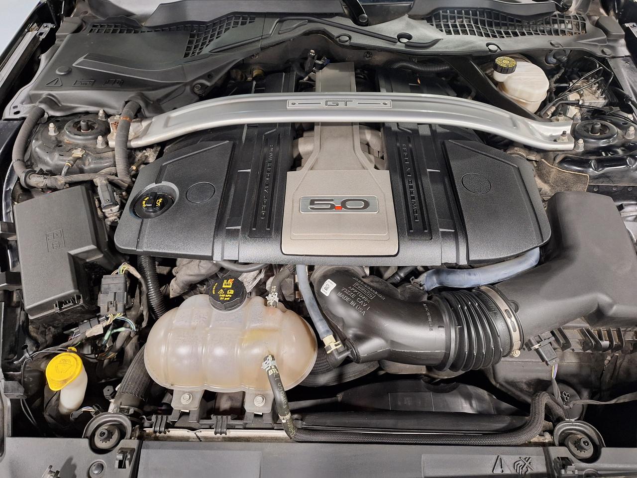 2019 Ford Mustang Convertible - Photo #9