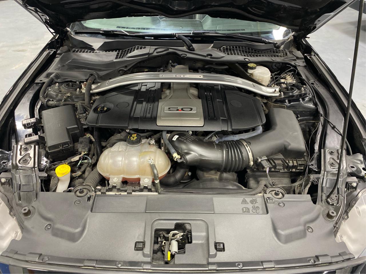 2019 Ford Mustang Convertible 5.0 GT Premium Photo