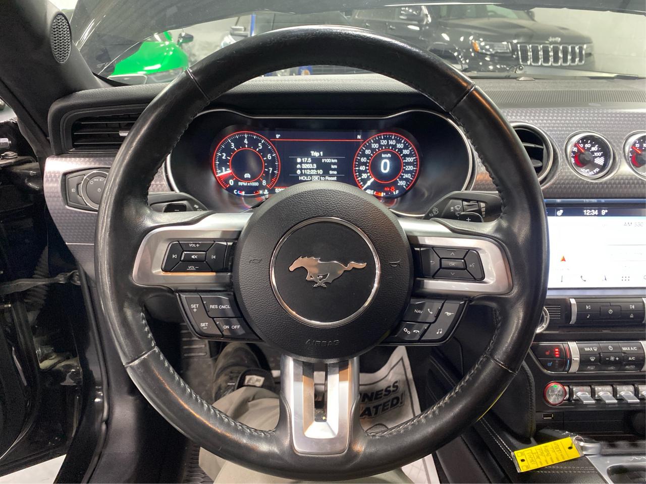 2019 Ford Mustang Convertible 5.0 GT Premium Photo