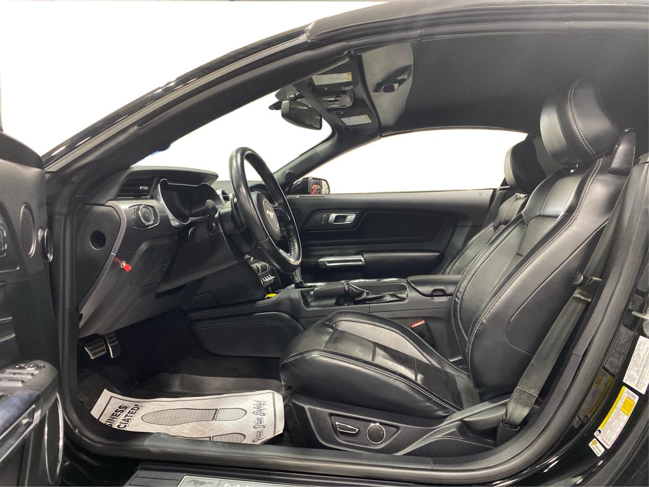 2019 Ford Mustang Convertible 5.0 GT Premium Photo