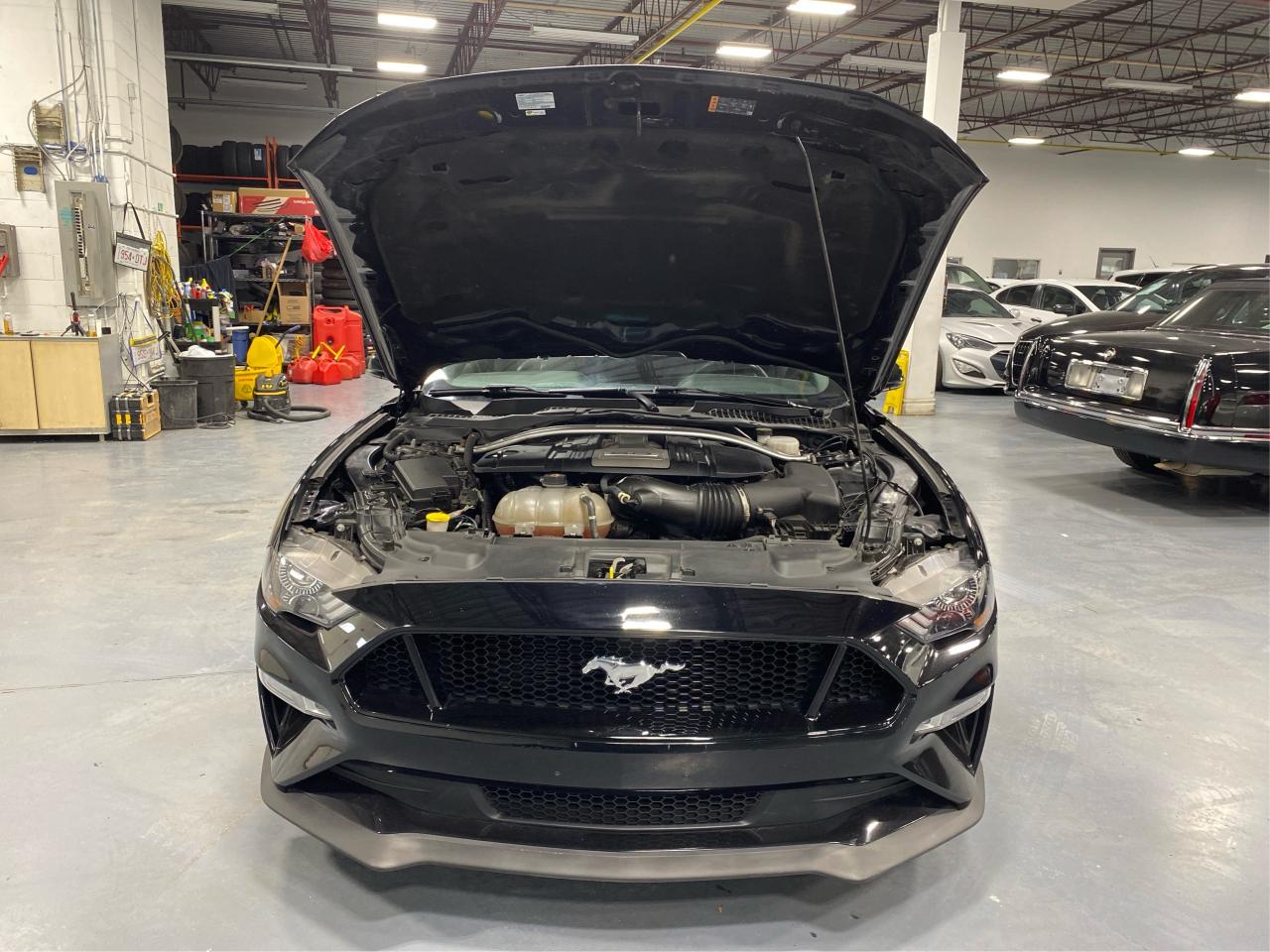 2019 Ford Mustang Convertible 5.0 GT Premium Photo