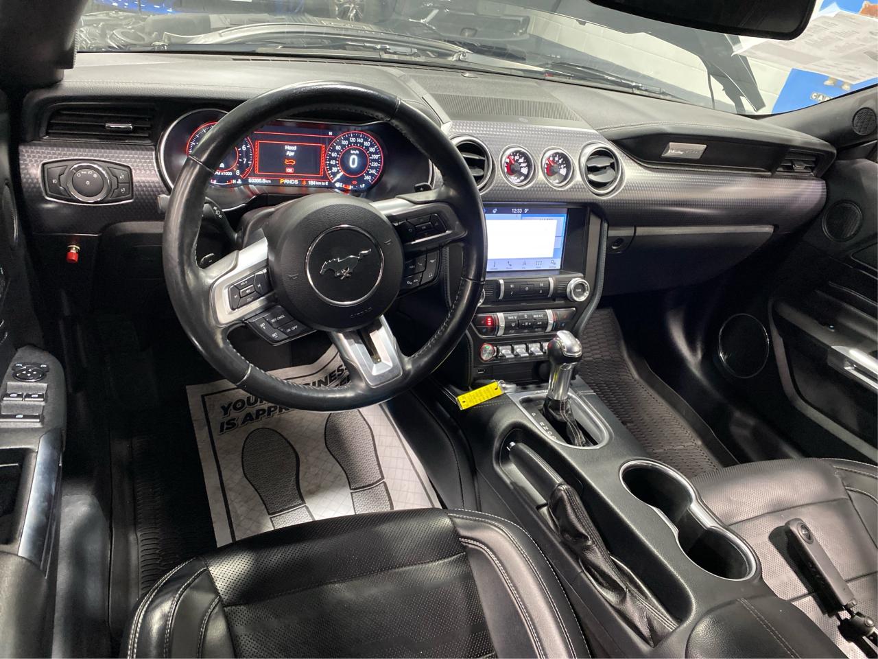 2019 Ford Mustang Convertible 5.0 GT Premium Photo