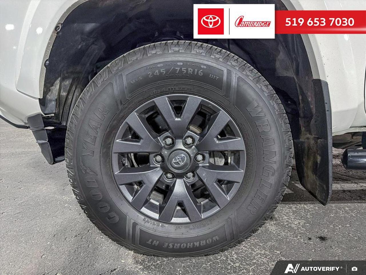 2020 Toyota Tacoma  Photo