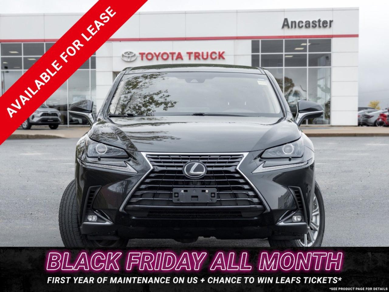 2018 Lexus NX 300 NX 300 Auto Photo