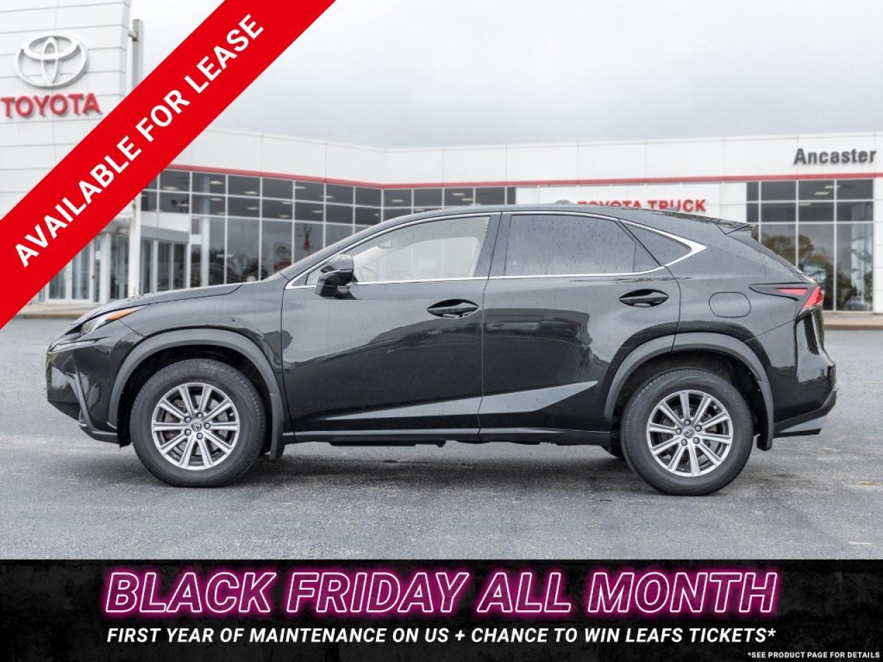 2018 Lexus NX 300 NX 300 Auto Photo