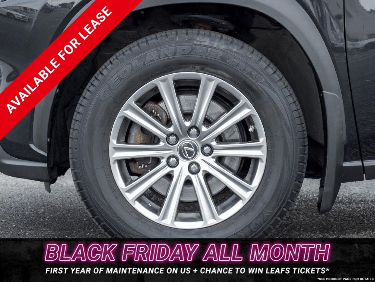 2018 Lexus NX 300 NX 300 Auto Photo