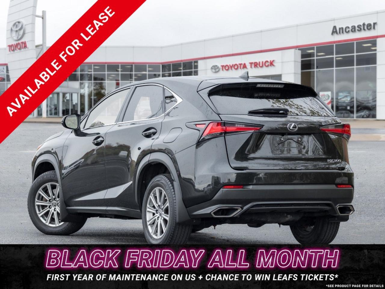 2018 Lexus NX 300 NX 300 Auto Photo