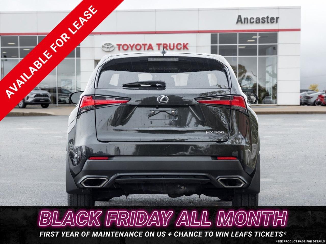 2018 Lexus NX 300 NX 300 Auto Photo