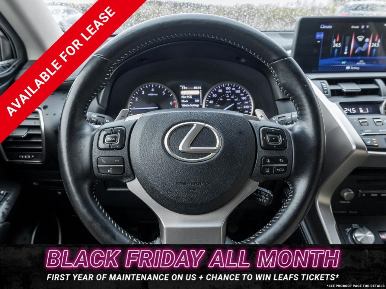 2018 Lexus NX 300 NX 300 Auto Photo