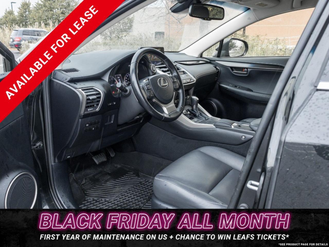 2018 Lexus NX 300 NX 300 Auto Photo