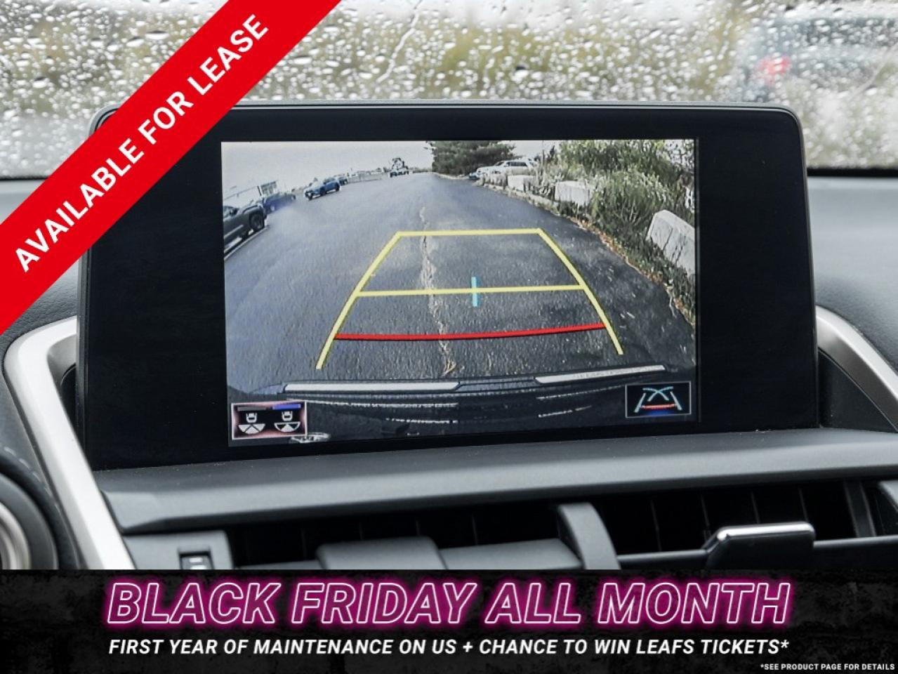 2018 Lexus NX 300 NX 300 Auto Photo