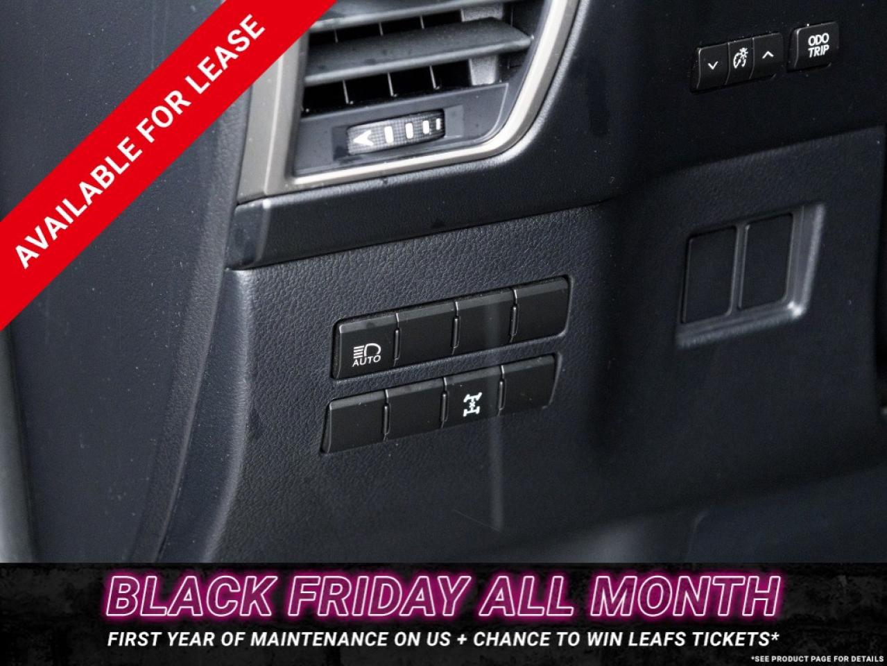 2018 Lexus NX 300 NX 300 Auto Photo