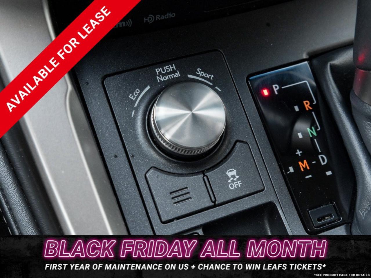 2018 Lexus NX 300 NX 300 Auto Photo