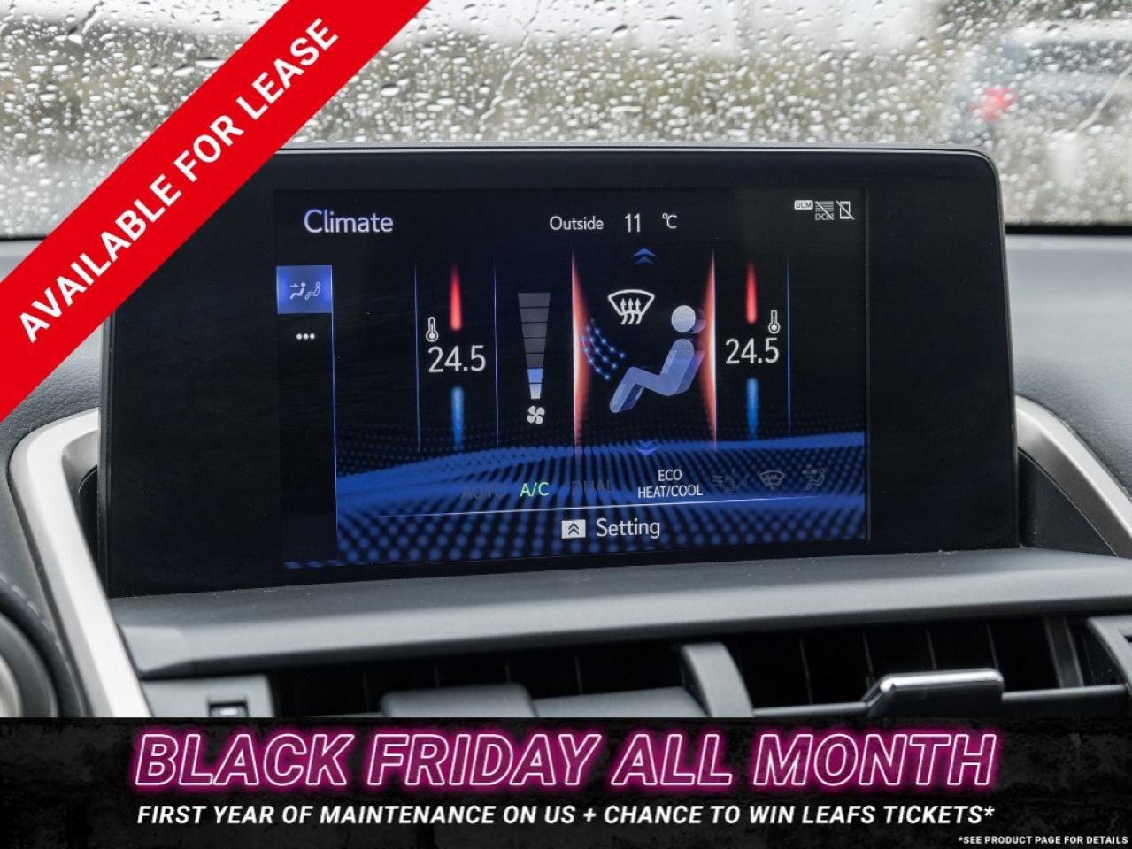 2018 Lexus NX 300 NX 300 Auto Photo