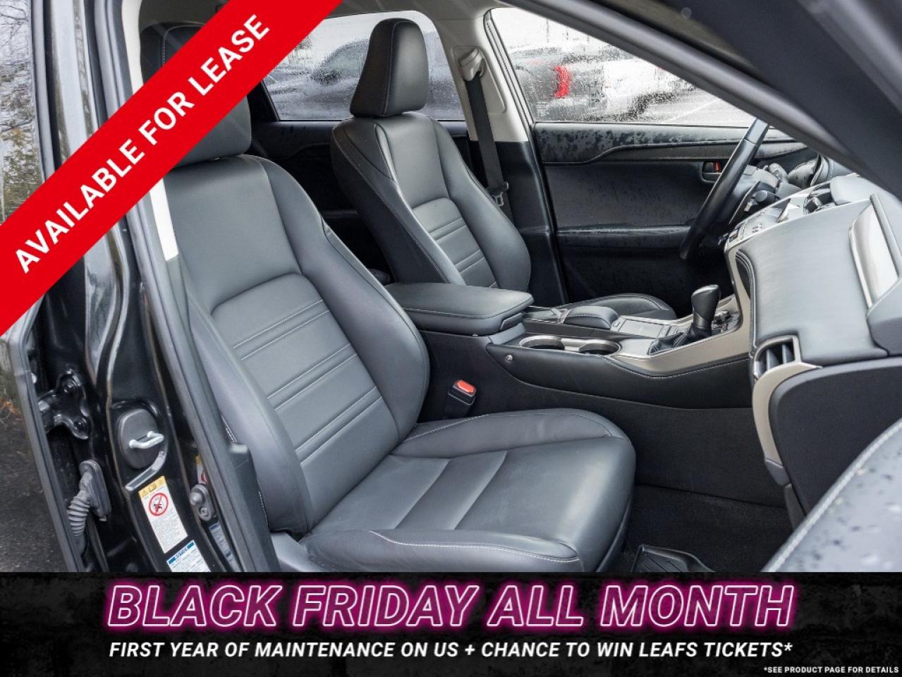 2018 Lexus NX 300 NX 300 Auto Photo