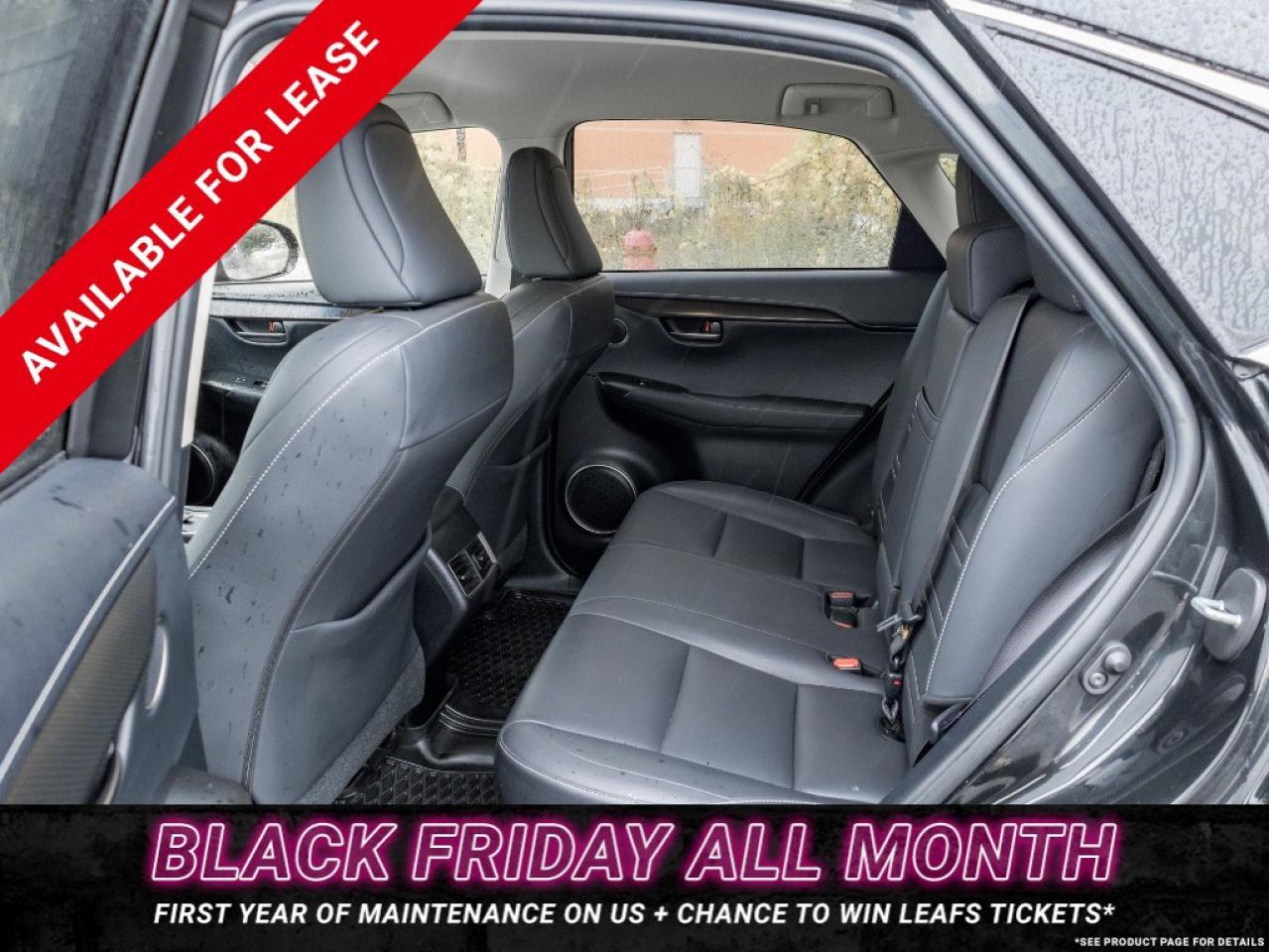 2018 Lexus NX 300 NX 300 Auto Photo