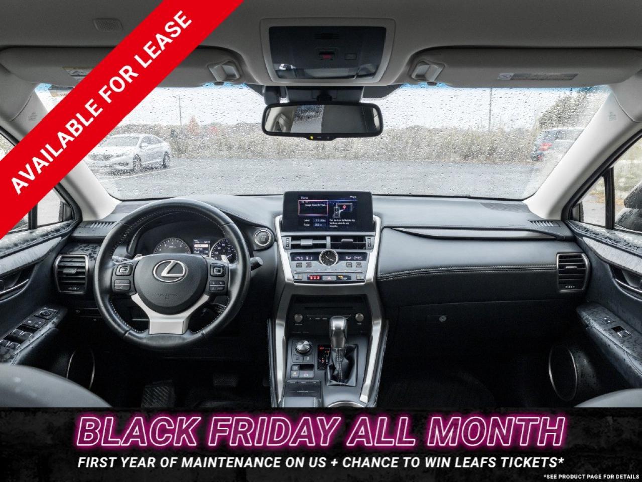 2018 Lexus NX 300 NX 300 Auto Photo