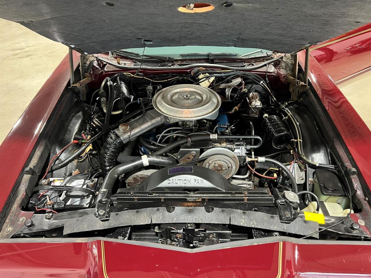 1979 Ford Thunderbird Heritage Edition Photo