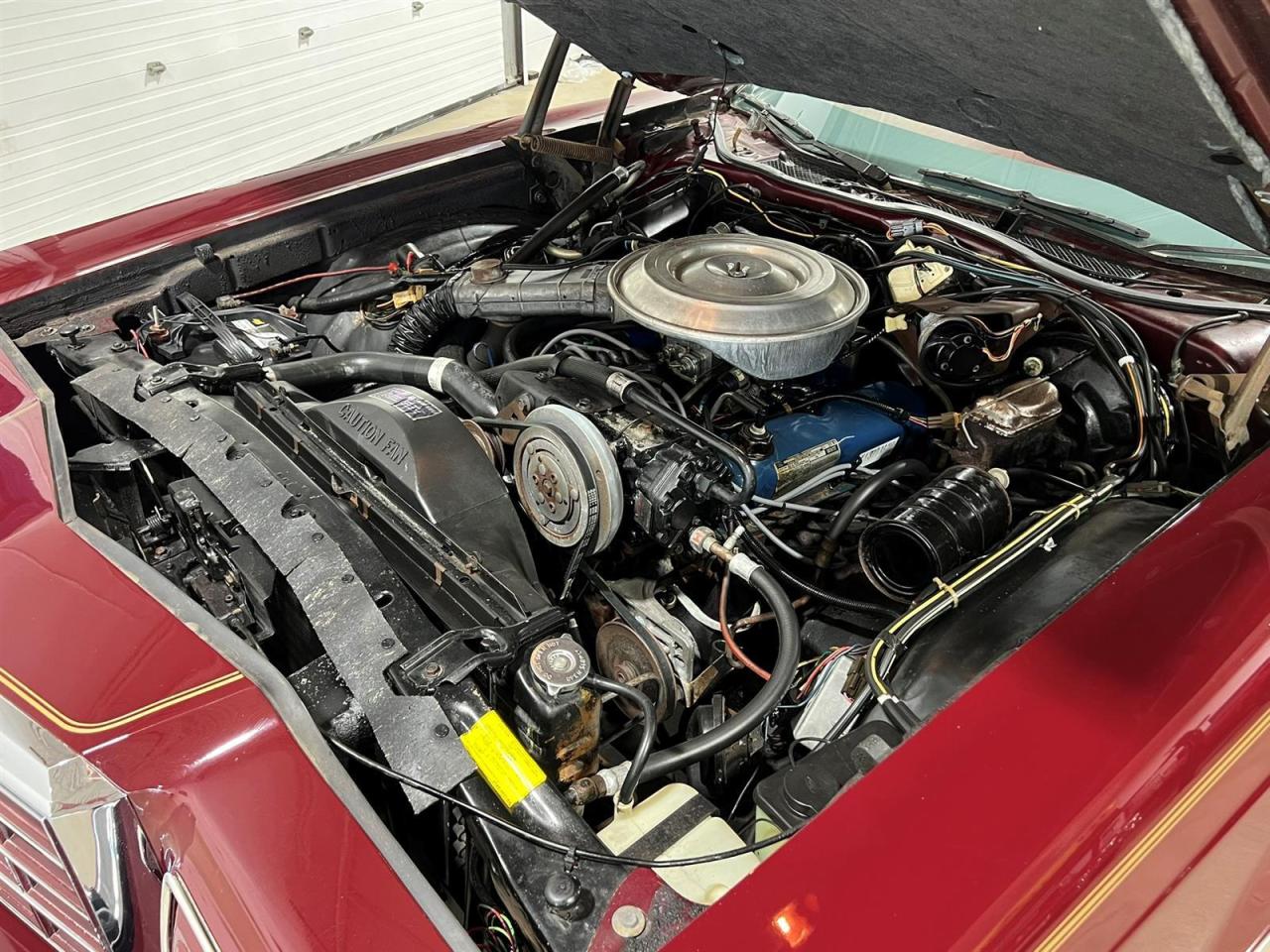 1979 Ford Thunderbird Heritage Edition Photo