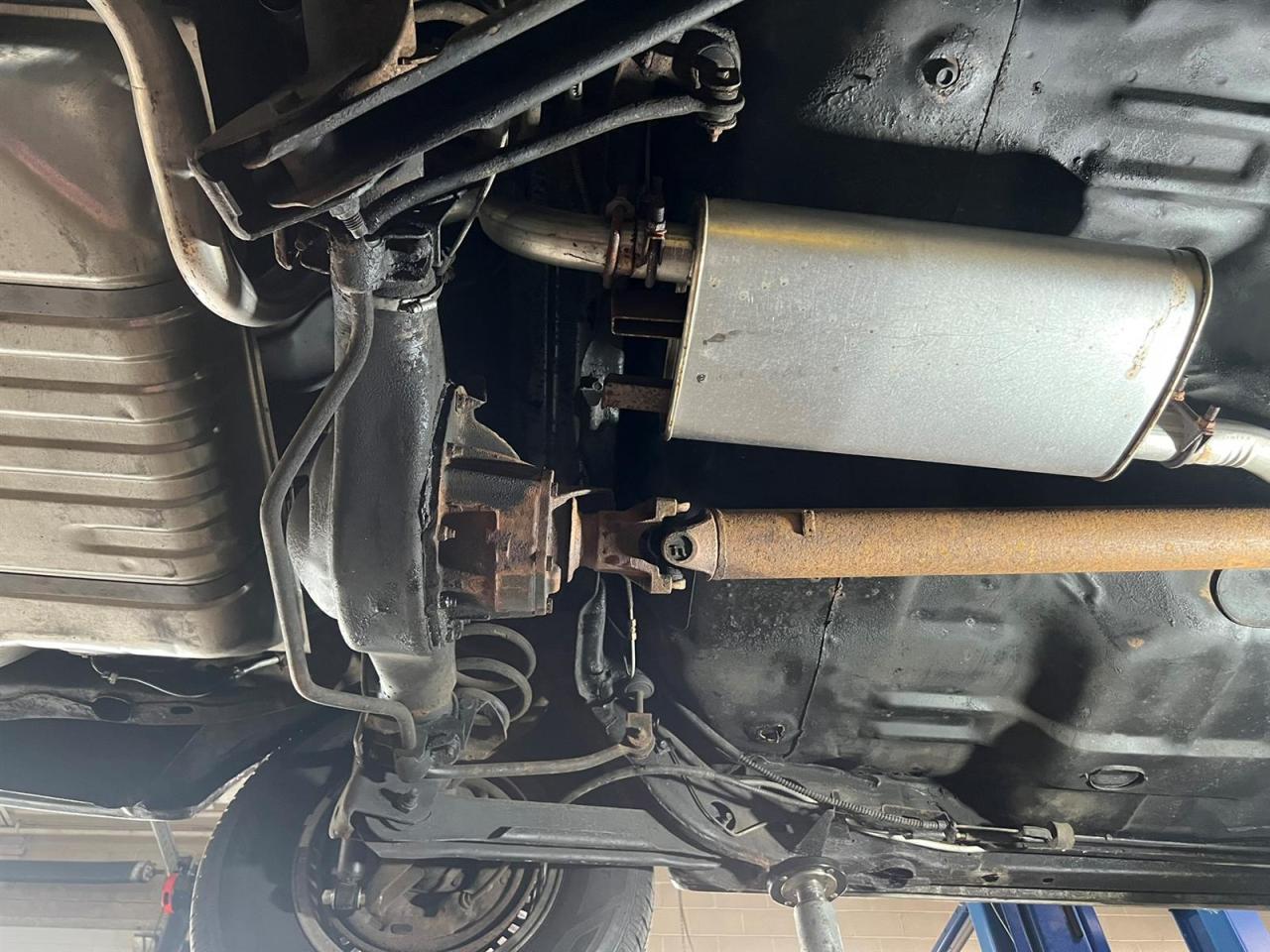 1979 Ford Thunderbird Heritage Edition Photo