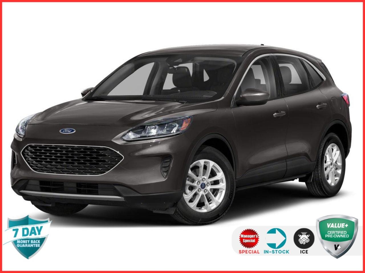 Used 2020 Ford Escape SE 200A for sale in Oakville, ON