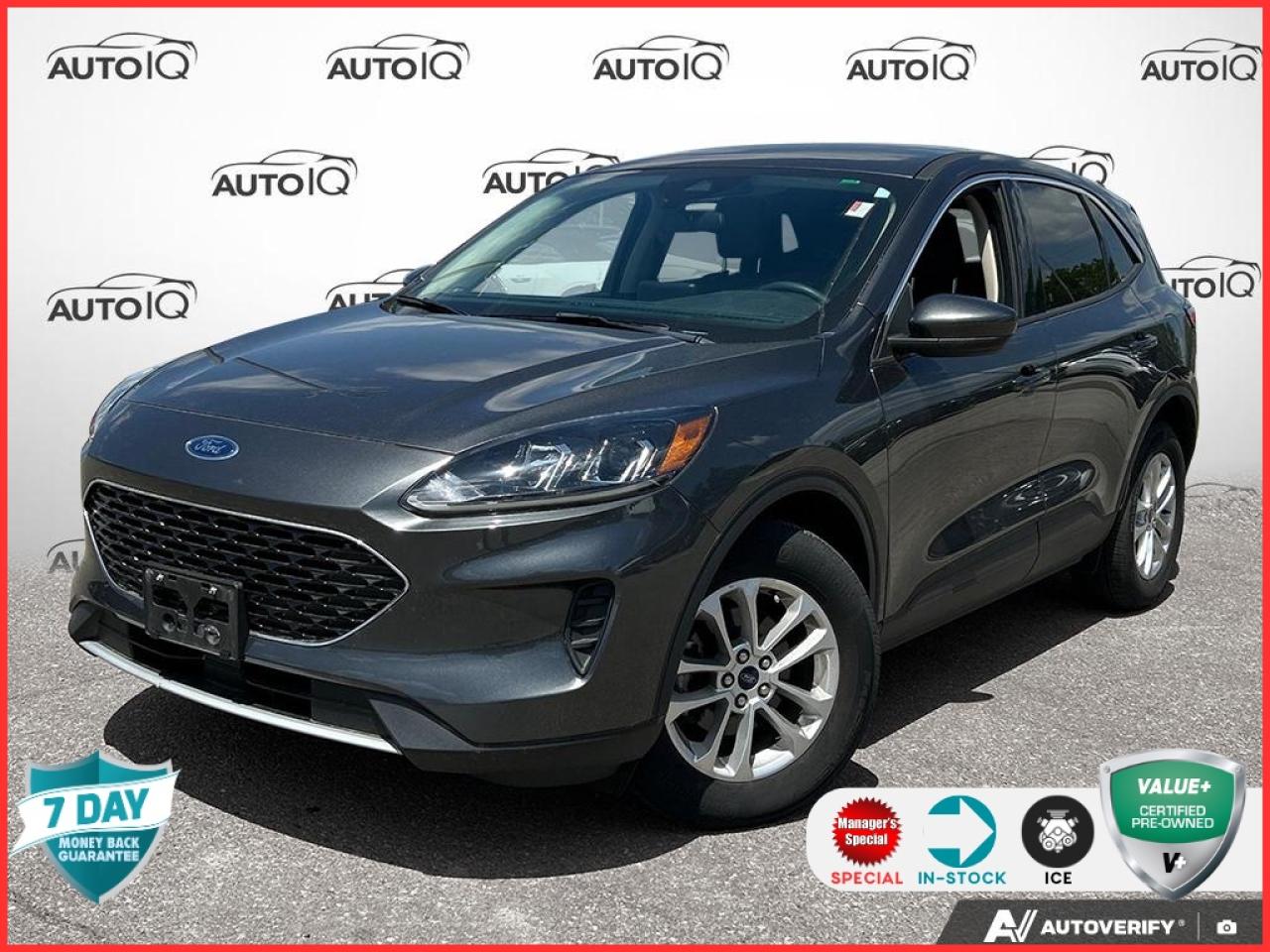 Used 2020 Ford Escape SE 200A for sale in Oakville, ON