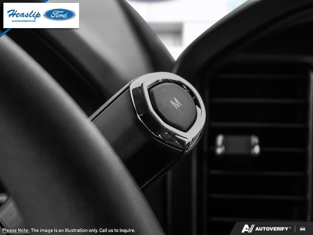 2025 Ford F-150 STX Photo