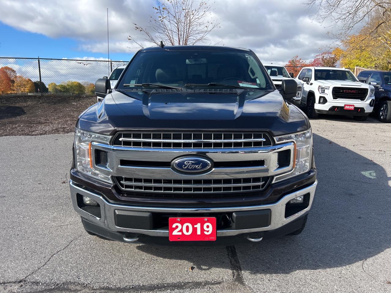 2019 Ford F-150 XLT, CLEAN CARFAX, REMOTE START, BACK UP CAMERA! - Photo #3