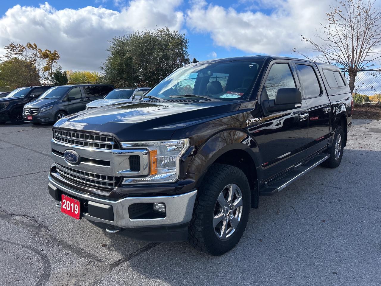 2019 Ford F-150 XLT, CLEAN CARFAX, REMOTE START, BACK UP CAMERA! - Photo #2