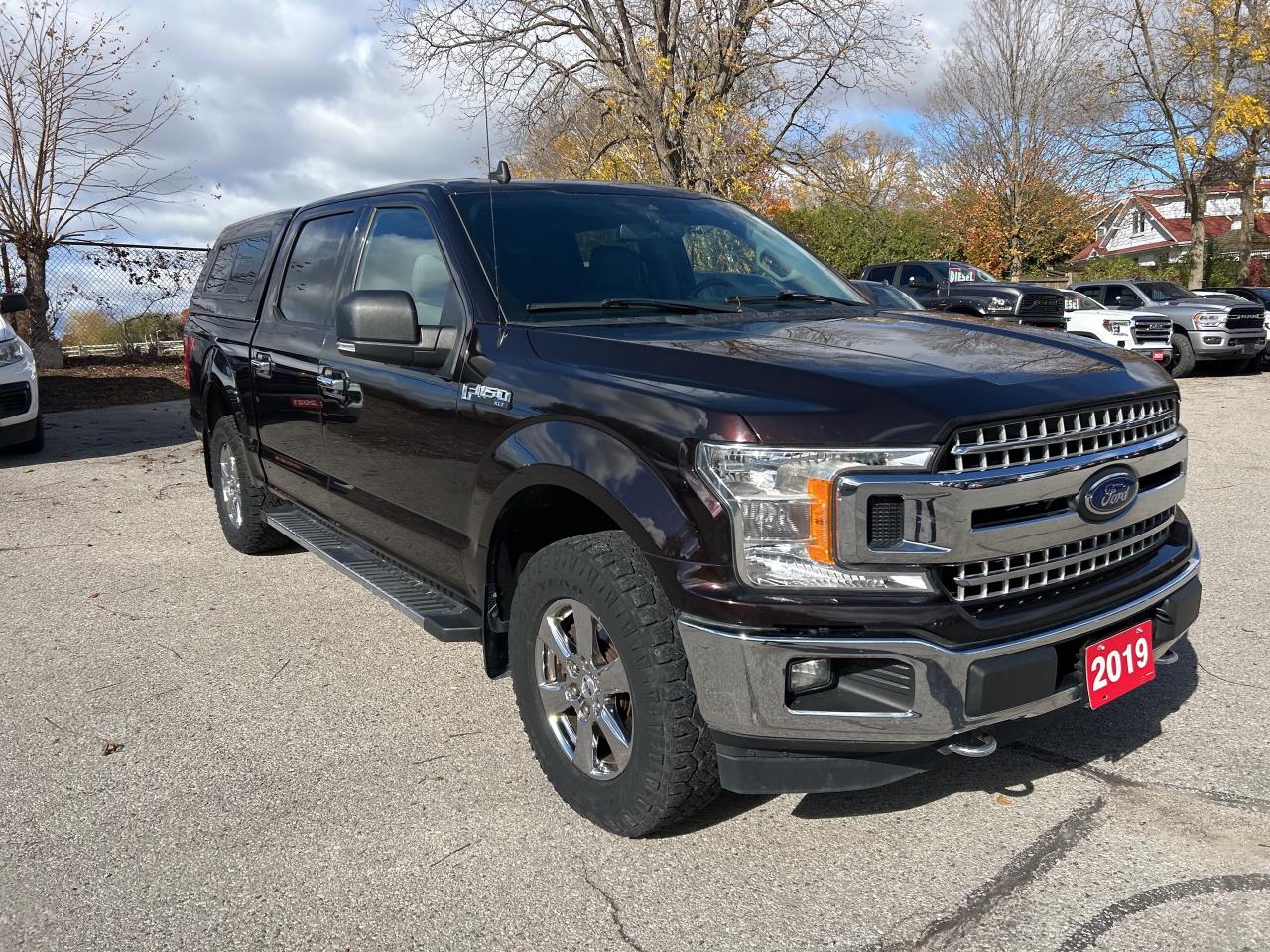 2019 Ford F-150 XLT, CLEAN CARFAX, REMOTE START, BACK UP CAMERA! - Photo #4