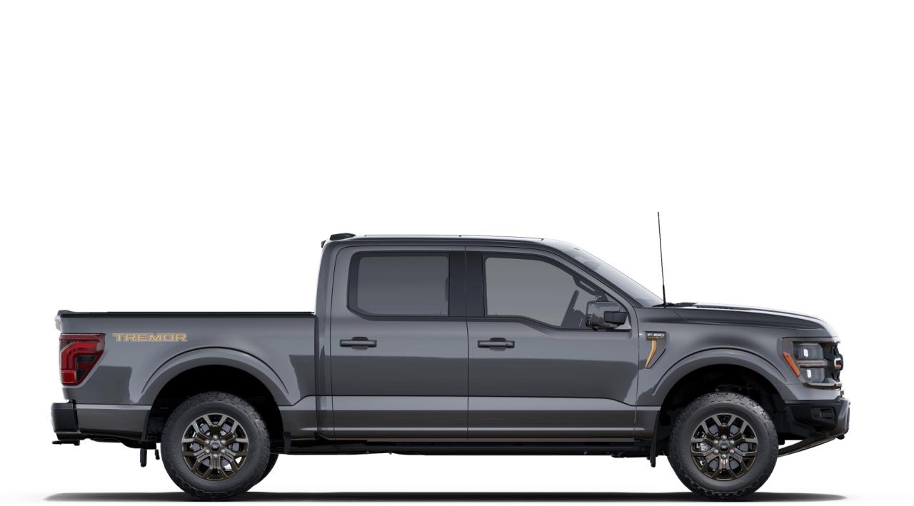2021 Ford F-150 Tremor Photo4