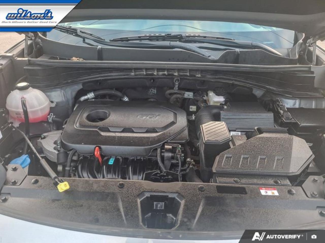 2022 Kia Sportage EX Premium S AWD | Leather | Panoroof | CarPlay | Android Auto | Heated Seats & Steering | and More! Photo