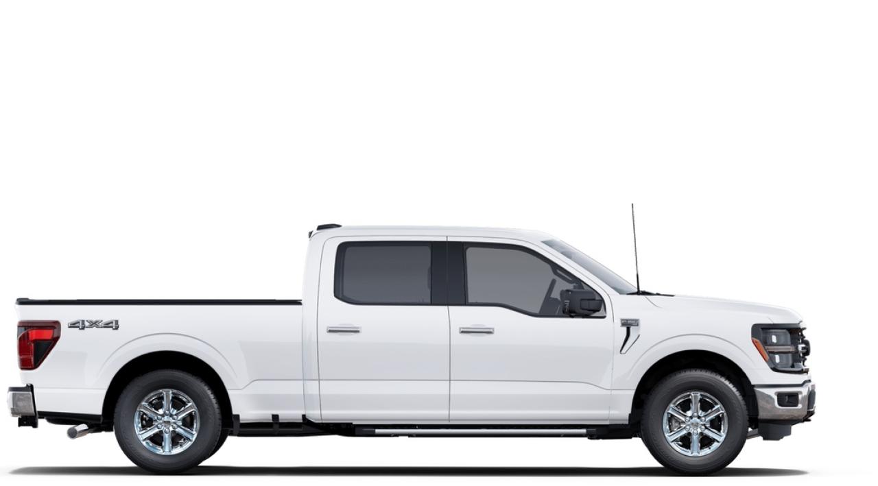 2025 Ford F-150 XLT Photo