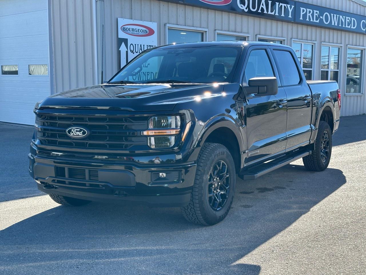 2025 Ford F-150 XLT 4WD SuperCrew 5.5' Box Photo