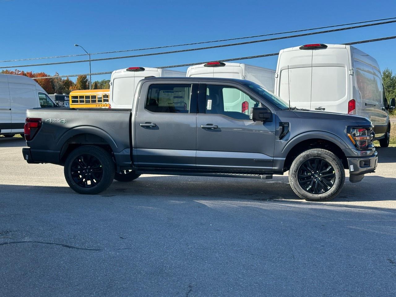 2025 Ford F-150 XLT 4WD SuperCrew 5.5' Box Photo4