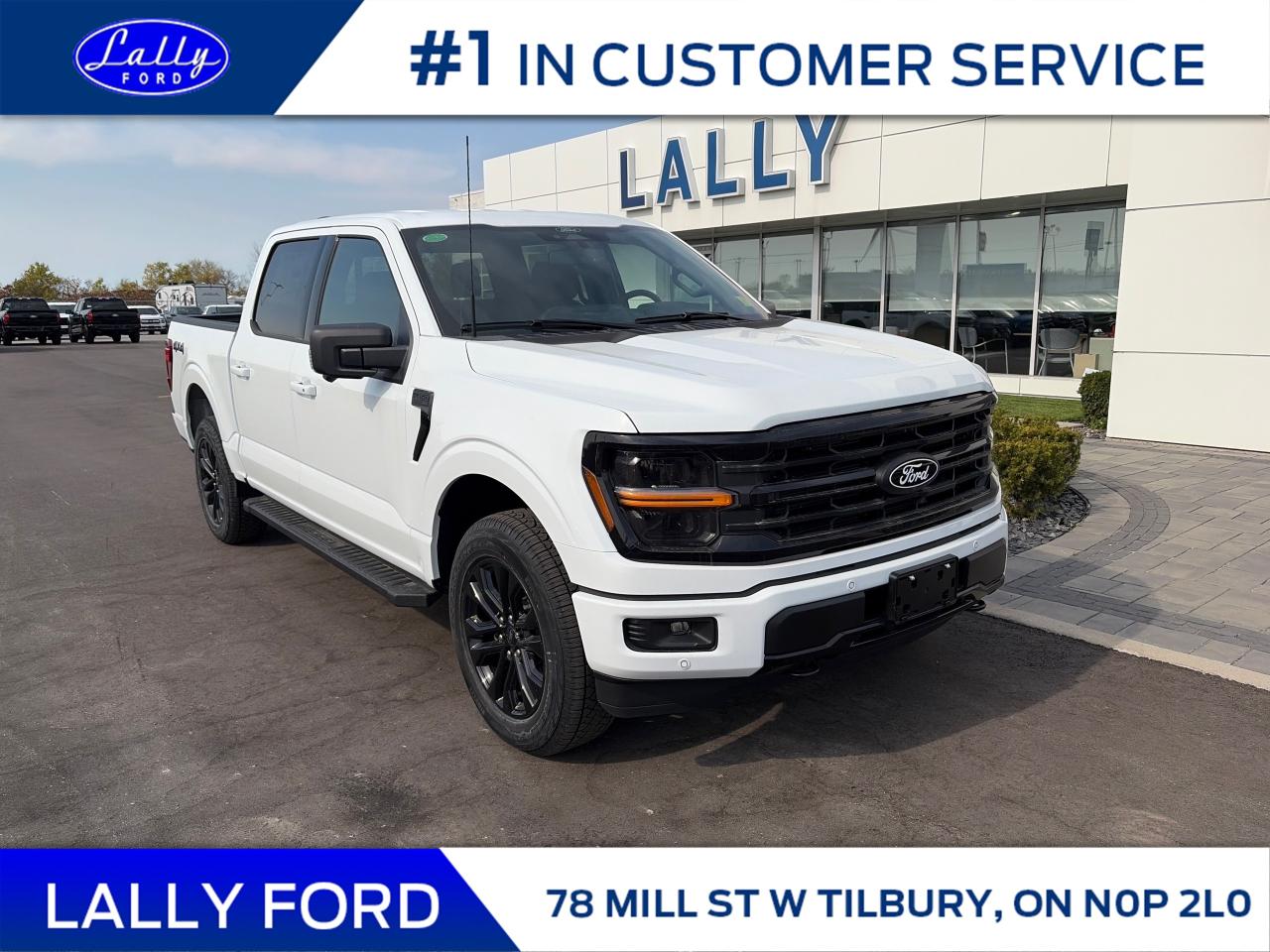 New 2025 Ford F-150 XLT for sale in Tilbury, ON