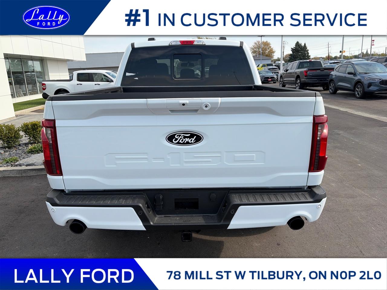 2025 Ford F-150 XLT Photo3