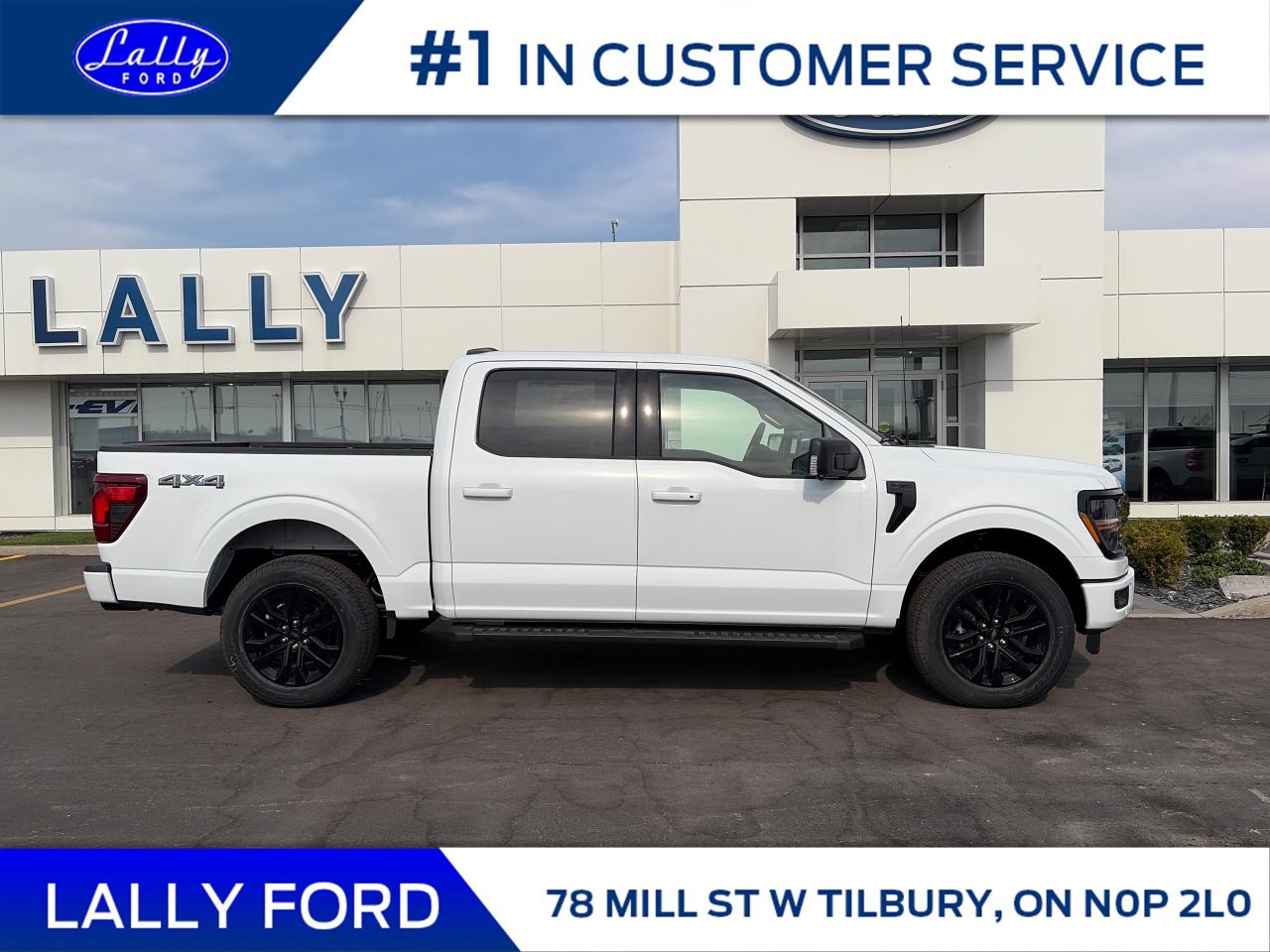 2025 Ford F-150 XLT Photo