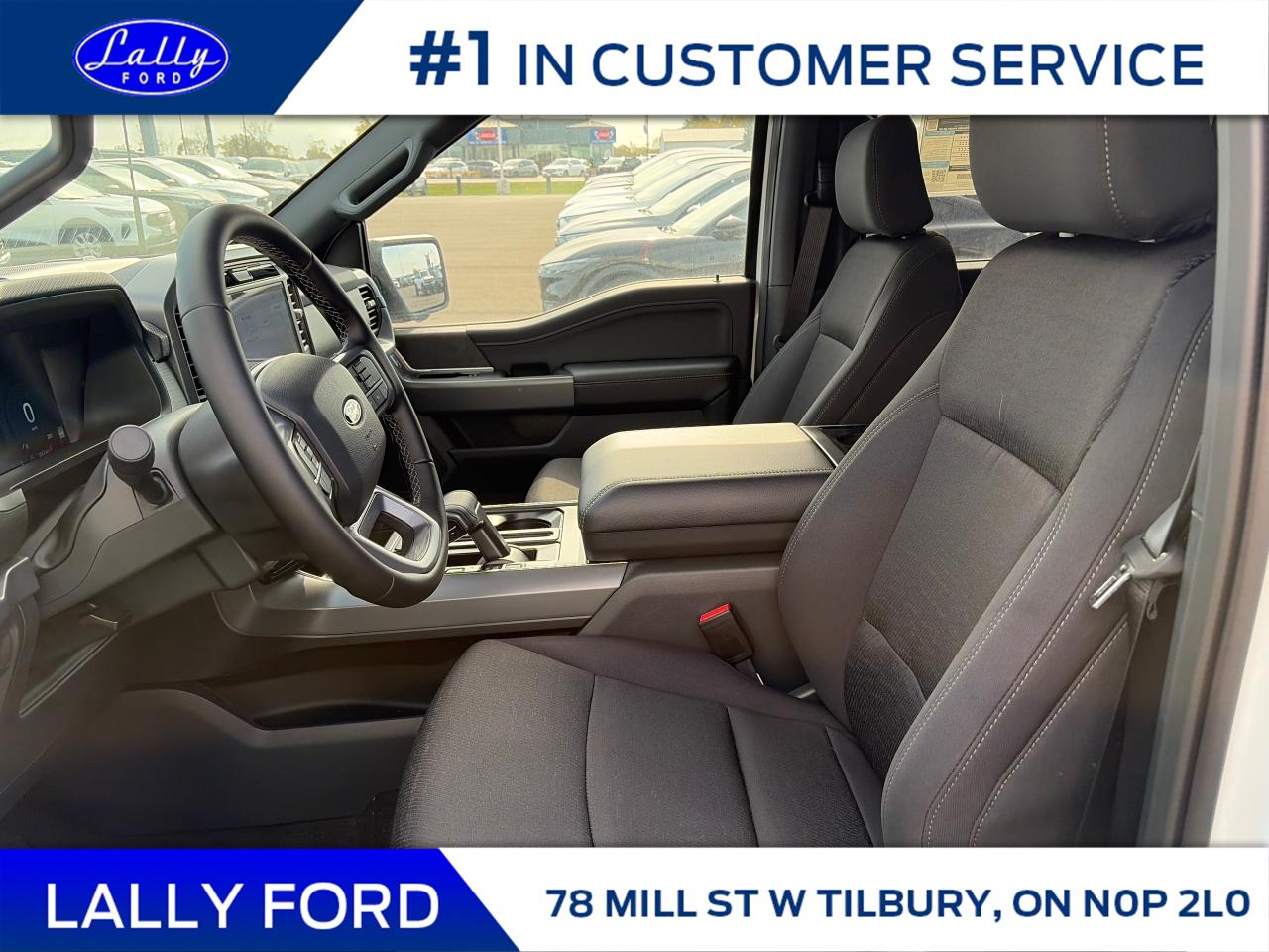 2025 Ford F-150 XLT Photo