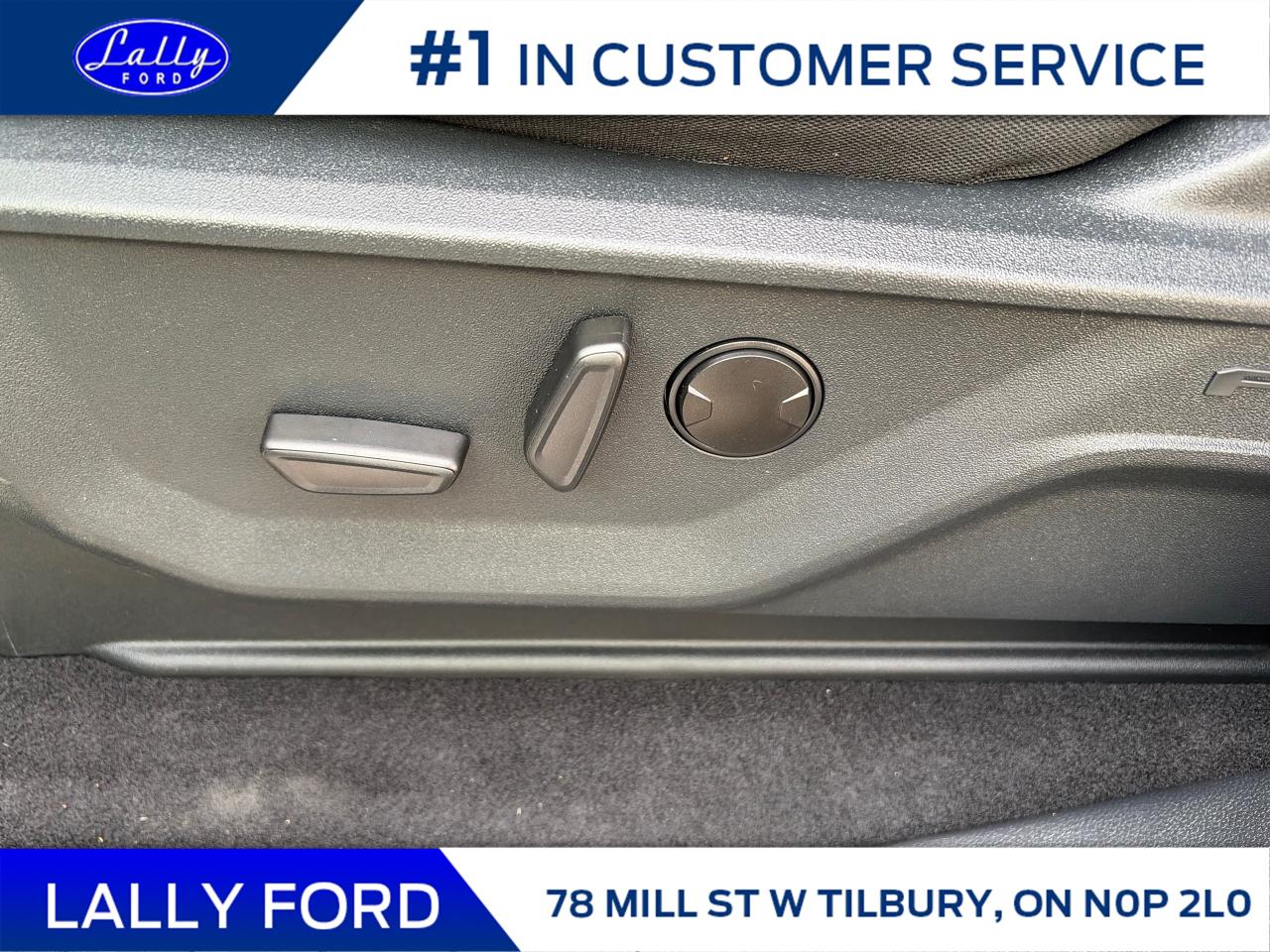 2025 Ford F-150 XLT Photo