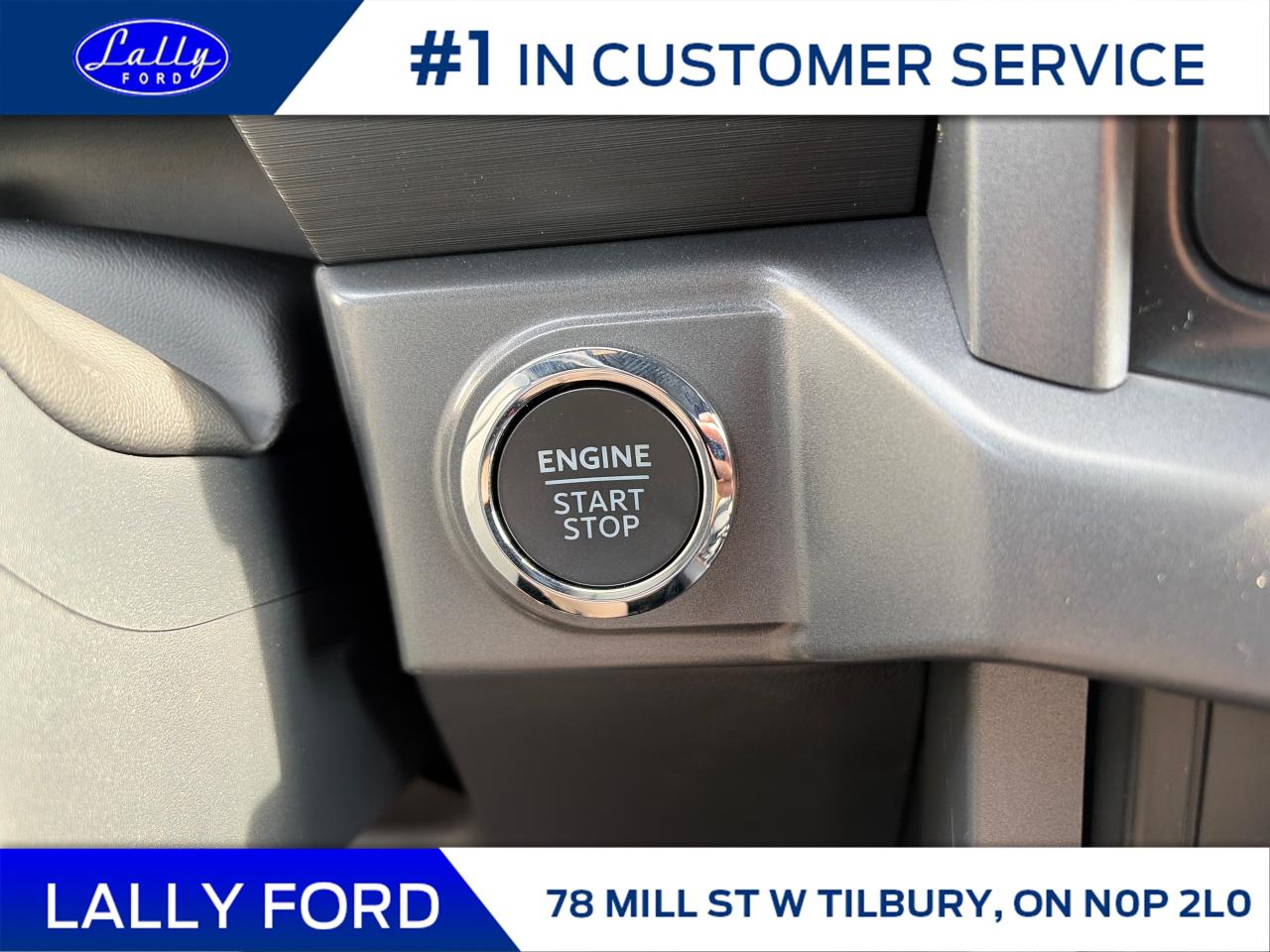 2025 Ford F-150 XLT Photo